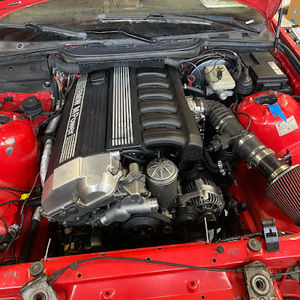 Meet your Posher, Timber